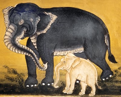 Elefant und Kalb, Seite aus einem Manuskript über Elefantentraining von Thai School
