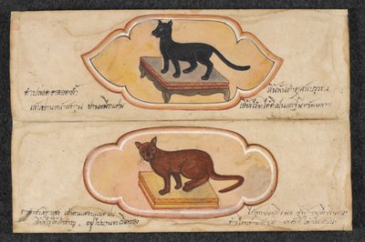 Siamkatzen, Fol. 1: zwei Glückskatzen zur Unterstützung von Geschäft und Wohlstand, Or. 16797, f.1 von Thai School