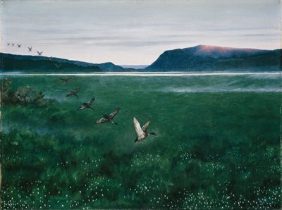 Die zwölf wilden Enten von Theodor Kittelsen
