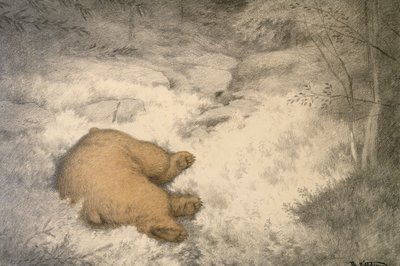 Der Bär schläft in der Blaubeerheide von Theodor Severin Kittelsen