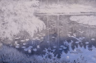 Da liegt ein Teich in Svartebudale von Theodor Kittelsen