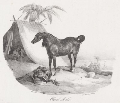 Arabisches Pferd von Theodore Gericault