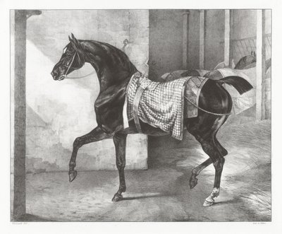 Schwarzes Pferd in einem Stall angebunden von Theodore Gericault