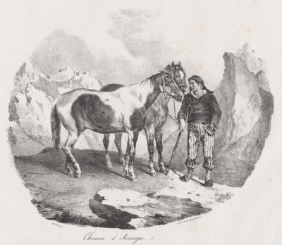 Chevaux d