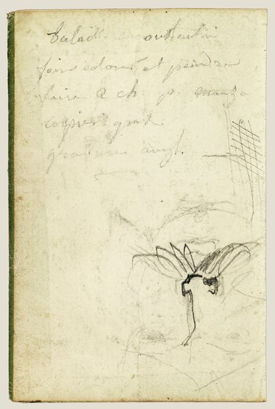 Gesicht eines Mannes von Theodore Gericault
