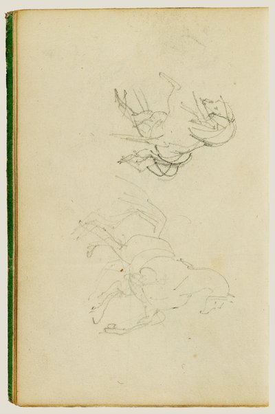 Zwei Studien eines sich aufbäumenden Pferdes von Theodore Gericault