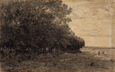 Eine kleine Gruppe hoher Bäume am Macherin-Wald von Theodore Rousseau