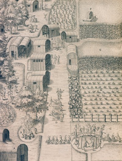 Einheimisches Indianerdorf in Virginia von Theodore de Bry
