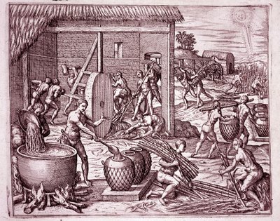 Geschichte Amerikas: Zuckerrohrernte und Zuckerproduktion durch indianische Sklaven, die für die spanischen Konquistadoren arbeiten (Gravur) von Theodore de Bry