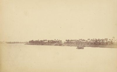 Ufer des Nils mit Palmen und Booten von Théodule Devéria