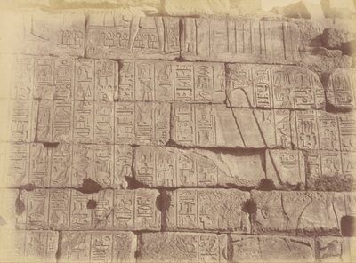 Nahaufnahme von Hieroglypheninschriften und Skulpturen (Liste der besiegten Nationen), Karnak von Théodule Devéria