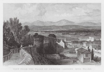 Blick von den Mauern von Chester nach Wales von Thomas (after) Allom