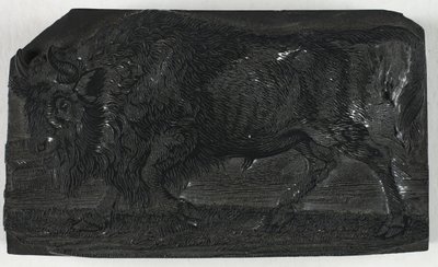 Holzschnitt für Der Urus oder Wildstier, aus Eine allgemeine Geschichte der Vierfüßer von Thomas Bewick