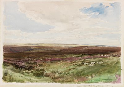 Moorlandschaft bei Hart Leap Well, Yorkshire von Thomas Collier