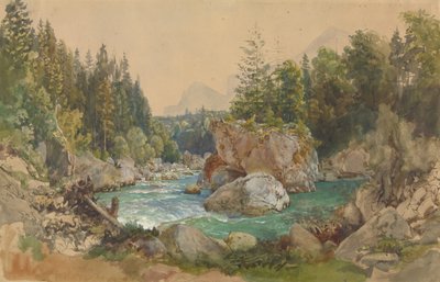 Bewaldete Flusslandschaft in den Alpen von Thomas Ender