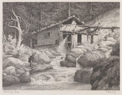 Sag i Golling von Thomas Fearnley