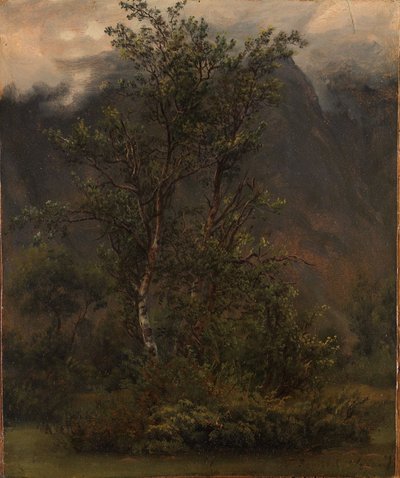 Studie von Birken in Romsdal von Thomas Fearnley