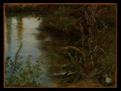 Studie von Wasser und Pflanzen von Thomas Fearnley