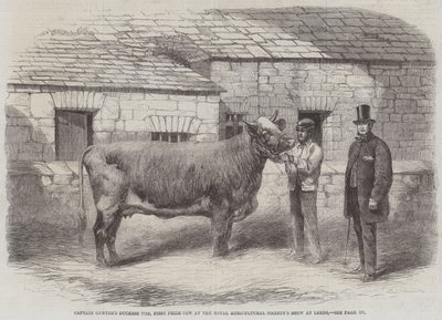 Captain Gunters Herzogin 77., Erste Preiskuh auf der Royal Agricultural Society