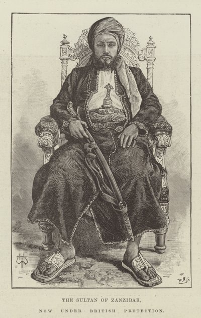 Der Sultan von Sansibar, jetzt unter britischem Schutz von Thomas Harrington Wilson