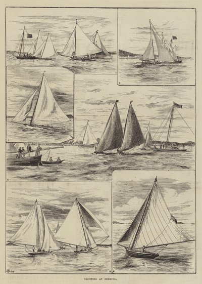 Segeln auf Bermuda von Thomas Harrington Wilson