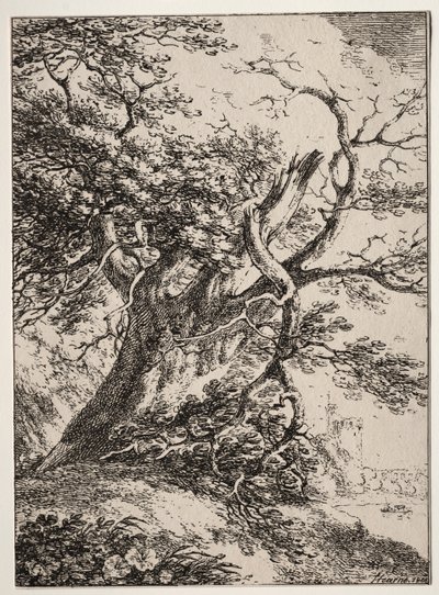 Beispiele der Polyautographie: Landschaft mit einer Eiche von Thomas Hearne