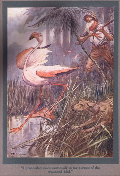 Ich ging vorsichtiger bei der Verfolgung des verwundeten Vogels vor von Thomas Heath Robinson