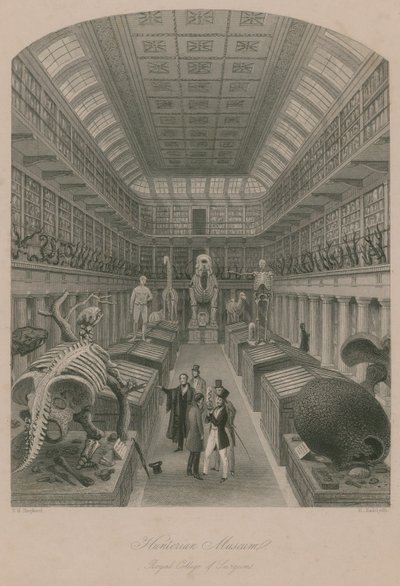 Hunterian Museum, Royal College of Surgeons, London von Thomas Hosmer Shepherd