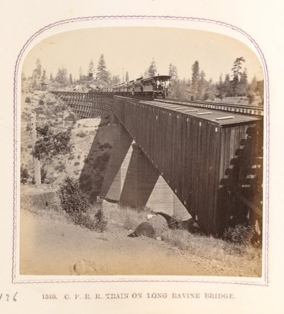 Zug auf der Long Ravine Brücke von Thomas Houseworth