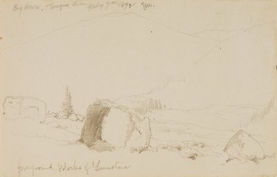 Big Horn, Tongue River von Thomas Moran