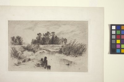 Sumpflandschaft mit Bach von Thomas Moran