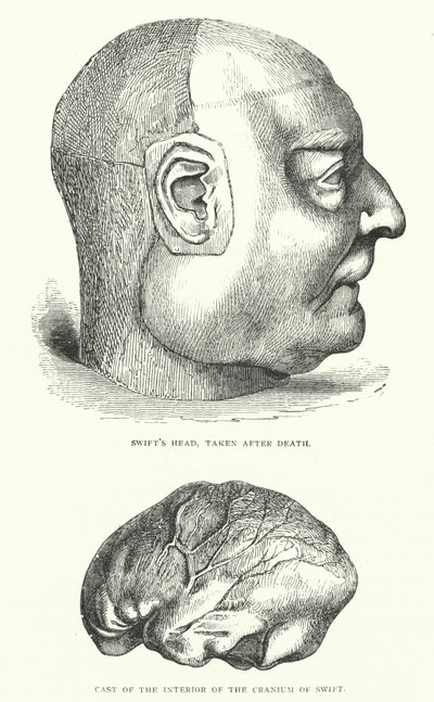 Illustration für das Leben von Jonathan Swift von Thomas Morten