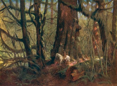 Große Fichte im Stanley Park von Thomas Mower Martin