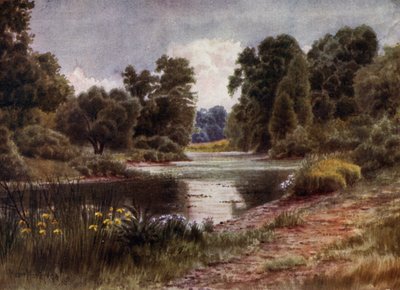 Kew Gardens: Der See, Blick nach Süden von Thomas Mower Martin