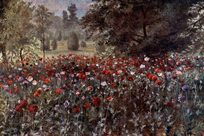 Kew Gardens: Die Mohnbeete (Farblithografie) von Thomas Mower Martin