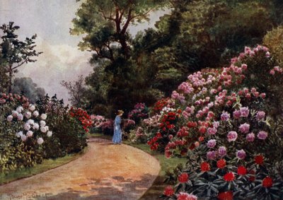 Kew Gardens: Der Rhododendronweg von Thomas Mower Martin