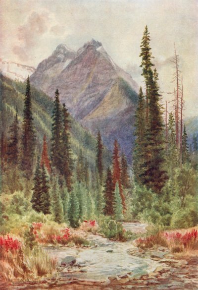  von Thomas Mower Martin