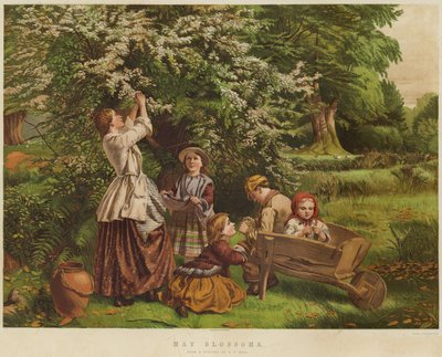 Maiblüten von Thomas P. Hall