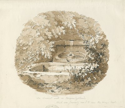 Biddulph - Alter Brunnen in Knypersley Woods: Sepiazeichnung von Thomas Peploe Wood