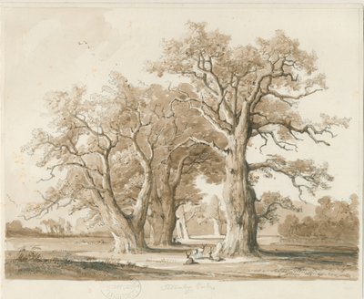 Teddesley Hall - Eichen von Thomas Peploe Wood