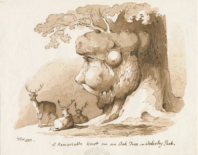 Wolseley Park - Knoten an einer Eiche von Thomas Peploe Wood