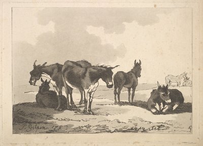 Eine Gruppe von fünf Eseln, drei stehend, zwei liegend, 1783-87 von Thomas Rowlandson