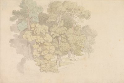Eine Gruppe von Bäumen von Thomas Rowlandson