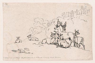 Hirsche aus Tafel 3, Umrisse von Figuren, Landschaften und Vieh... zur Verwendung von Le..., 1. Juni 1790 von Thomas Rowlandson