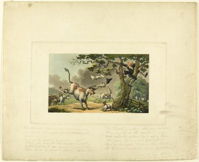 Doktor Syntax von einem Stier verfolgt, aus Die Reise des Doktor Syntax von Thomas Rowlandson