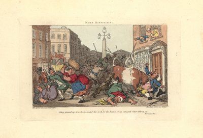 Mann, der von den Hörnern eines wütenden Ochsen an eine Tür geheftet wird von Thomas Rowlandson