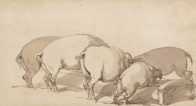 Schweine an einem Trog von Thomas Rowlandson