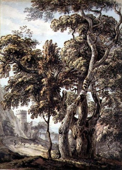 Studie von Bäumen von Thomas Sandby