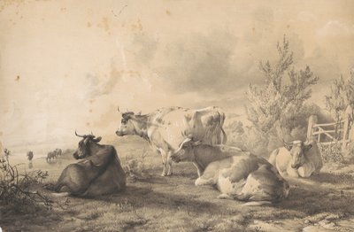 An einem Zaun liegende Rinder von Thomas Sidney Cooper