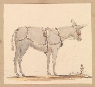 Studie eines Esels mit Zaumzeug und Geschirr, um 1820 von Thomas Streatfeild